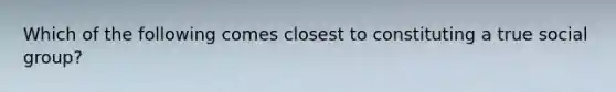 Which of the following comes closest to constituting a true social group?