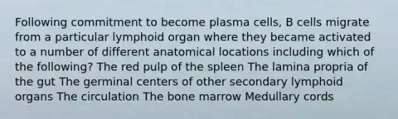 Following commitment to become plasma cells, B cells migrate from a particular lymphoid organ where they became activated to a number of different anatomical locations including which of the following? The red pulp of the spleen The lamina propria of the gut The germinal centers of other secondary lymphoid organs The circulation The bone marrow Medullary cords