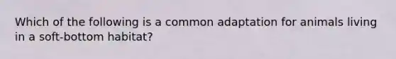 Which of the following is a common adaptation for animals living in a soft-bottom habitat?