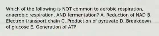 Which of the following is NOT common to <a href='https://www.questionai.com/knowledge/kyxGdbadrV-aerobic-respiration' class='anchor-knowledge'>aerobic respiration</a>, anaerobic respiration, AND fermentation? A. Reduction of NAD B. Electron transport chain C. Production of pyruvate D. Breakdown of glucose E. Generation of ATP