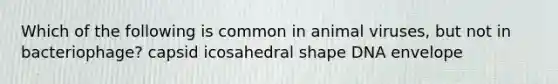 Which of the following is common in animal viruses, but not in bacteriophage? capsid icosahedral shape DNA envelope