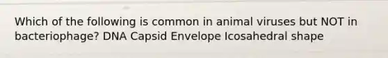 Which of the following is common in animal viruses but NOT in bacteriophage? DNA Capsid Envelope Icosahedral shape