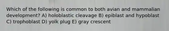 Which of the following is common to both avian and mammalian development? A) holoblastic cleavage B) epiblast and hypoblast C) trophoblast D) yolk plug E) gray crescent