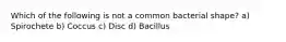 Which of the following is not a common bacterial shape? a) Spirochete b) Coccus c) Disc d) Bacillus