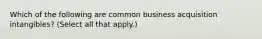 Which of the following are common business acquisition intangibles? (Select all that apply.)