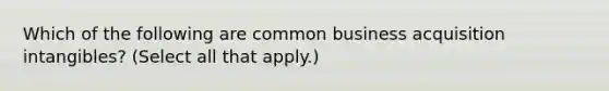 Which of the following are common business acquisition intangibles? (Select all that apply.)