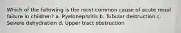 Which of the following is the most common cause of acute renal failure in children? a. Pyelonephritis b. Tubular destruction c. Severe dehydration d. Upper tract obstruction