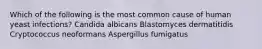 Which of the following is the most common cause of human yeast infections? Candida albicans Blastomyces dermatitidis Cryptococcus neoformans Aspergillus fumigatus