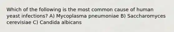 Which of the following is the most common cause of human yeast infections? A) Mycoplasma pneumoniae B) Saccharomyces cerevisiae C) Candida albicans