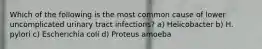 Which of the following is the most common cause of lower uncomplicated urinary tract infections? a) Helicobacter b) H. pylori c) Escherichia coli d) Proteus amoeba