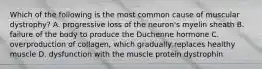 Which of the following is the most common cause of muscular dystrophy? A. progressive loss of the neuron's myelin sheath B. failure of the body to produce the Duchenne hormone C. overproduction of collagen, which gradually replaces healthy muscle D. dysfunction with the muscle protein dystrophin