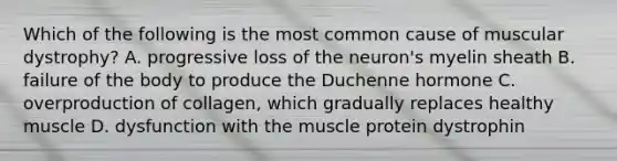 Which of the following is the most common cause of muscular dystrophy? A. progressive loss of the neuron's myelin sheath B. failure of the body to produce the Duchenne hormone C. overproduction of collagen, which gradually replaces healthy muscle D. dysfunction with the muscle protein dystrophin