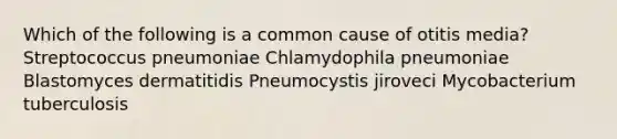 Which of the following is a common cause of otitis media? Streptococcus pneumoniae Chlamydophila pneumoniae Blastomyces dermatitidis Pneumocystis jiroveci Mycobacterium tuberculosis