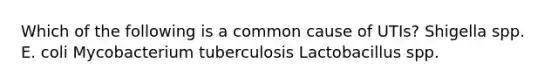 Which of the following is a common cause of UTIs? Shigella spp. E. coli Mycobacterium tuberculosis Lactobacillus spp.