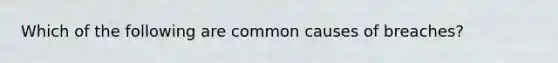 Which of the following are common causes of breaches?