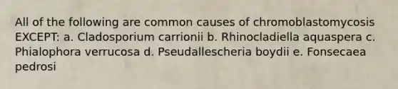 All of the following are common causes of chromoblastomycosis EXCEPT: a. Cladosporium carrionii b. Rhinocladiella aquaspera c. Phialophora verrucosa d. Pseudallescheria boydii e. Fonsecaea pedrosi