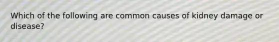 Which of the following are common causes of kidney damage or disease?