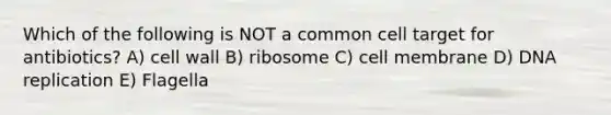 Which of the following is NOT a common cell target for antibiotics? A) cell wall B) ribosome C) cell membrane D) DNA replication E) Flagella