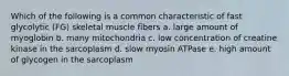 Which of the following is a common characteristic of fast glycolytic (FG) skeletal muscle fibers a. large amount of myoglobin b. many mitochondria c. low concentration of creatine kinase in the sarcoplasm d. slow myosin ATPase e. high amount of glycogen in the sarcoplasm