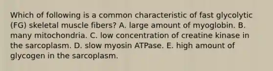 Which of following is a common characteristic of fast glycolytic (FG) skeletal muscle fibers? A. large amount of myoglobin. B. many mitochondria. C. low concentration of creatine kinase in the sarcoplasm. D. slow myosin ATPase. E. high amount of glycogen in the sarcoplasm.