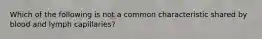 Which of the following is not a common characteristic shared by blood and lymph capillaries?