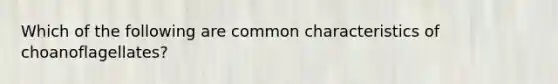 Which of the following are common characteristics of choanoflagellates?