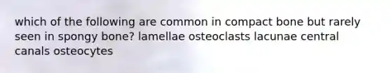 which of the following are common in compact bone but rarely seen in spongy bone? lamellae osteoclasts lacunae central canals osteocytes