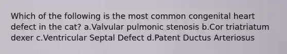 Which of the following is the most common congenital heart defect in the cat? a.Valvular pulmonic stenosis b.Cor triatriatum dexer c.Ventricular Septal Defect d.Patent Ductus Arteriosus