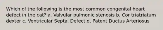 Which of the following is the most common congenital heart defect in the cat? a. Valvular pulmonic stenosis b. Cor triatriatum dexter c. Ventricular Septal Defect d. Patent Ductus Arteriosus