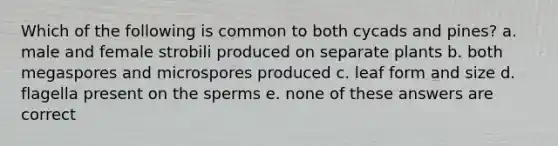 Which of the following is common to both cycads and pines? a. male and female strobili produced on separate plants b. both megaspores and microspores produced c. leaf form and size d. flagella present on the sperms e. none of these answers are correct