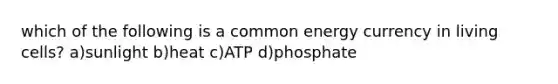 which of the following is a common energy currency in living cells? a)sunlight b)heat c)ATP d)phosphate