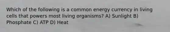 Which of the following is a common energy currency in living cells that powers most living organisms? A) Sunlight B) Phosphate C) ATP D) Heat