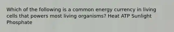 Which of the following is a common energy currency in living cells that powers most living organisms? Heat ATP Sunlight Phosphate