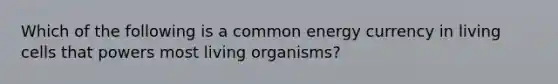 Which of the following is a common energy currency in living cells that powers most living organisms?