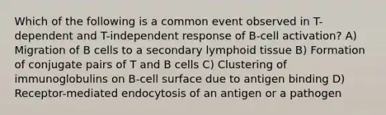 Which of the following is a common event observed in T-dependent and T-independent response of B-cell activation? A) Migration of B cells to a secondary lymphoid tissue B) Formation of conjugate pairs of T and B cells C) Clustering of immunoglobulins on B-cell surface due to antigen binding D) Receptor-mediated endocytosis of an antigen or a pathogen