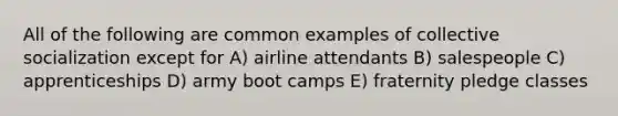 All of the following are common examples of collective socialization except for A) airline attendants B) salespeople C) apprenticeships D) army boot camps E) fraternity pledge classes