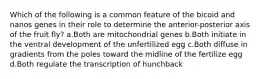 Which of the following is a common feature of the bicoid and nanos genes in their role to determine the anterior-posterior axis of the fruit fly? a.Both are mitochondrial genes b.Both initiate in the ventral development of the unfertilized egg c.Both diffuse in gradients from the poles toward the midline of the fertilize egg d.Both regulate the transcription of hunchback