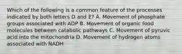 Which of the following is a common feature of the processes indicated by both letters D and E? A. Movement of phosphate groups associated with ADP B. Movement of organic food molecules between catabolic pathways C. Movement of pyruvic acid into the mitochondria D. Movement of hydrogen atoms associated with NADH