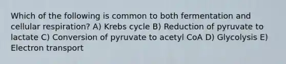 Which of the following is common to both fermentation and cellular respiration? A) Krebs cycle B) Reduction of pyruvate to lactate C) Conversion of pyruvate to acetyl CoA D) Glycolysis E) Electron transport