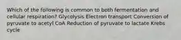 Which of the following is common to both fermentation and cellular respiration? Glycolysis Electron transport Conversion of pyruvate to acetyl CoA Reduction of pyruvate to lactate Krebs cycle