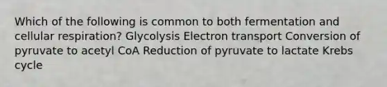 Which of the following is common to both fermentation and <a href='https://www.questionai.com/knowledge/k1IqNYBAJw-cellular-respiration' class='anchor-knowledge'>cellular respiration</a>? Glycolysis Electron transport Conversion of pyruvate to acetyl CoA Reduction of pyruvate to lactate <a href='https://www.questionai.com/knowledge/kqfW58SNl2-krebs-cycle' class='anchor-knowledge'>krebs cycle</a>