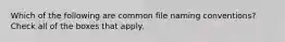 Which of the following are common file naming conventions? Check all of the boxes that apply.