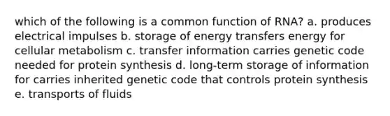 which of the following is a common function of RNA? a. produces electrical impulses b. storage of energy transfers energy for cellular metabolism c. transfer information carries genetic code needed for protein synthesis d. long-term storage of information for carries inherited genetic code that controls protein synthesis e. transports of fluids