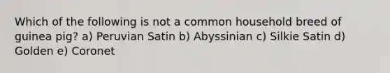 Which of the following is not a common household breed of guinea pig? a) Peruvian Satin b) Abyssinian c) Silkie Satin d) Golden e) Coronet