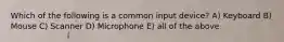 Which of the following is a common input device? A) Keyboard B) Mouse C) Scanner D) Microphone E) all of the above