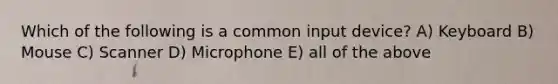 Which of the following is a common input device? A) Keyboard B) Mouse C) Scanner D) Microphone E) all of the above