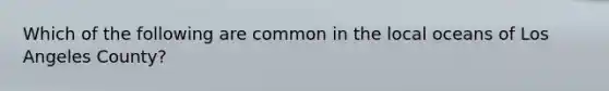 Which of the following are common in the local oceans of Los Angeles County?