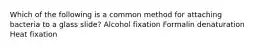 Which of the following is a common method for attaching bacteria to a glass slide? Alcohol fixation Formalin denaturation Heat fixation