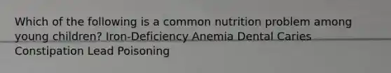 Which of the following is a common nutrition problem among young children? Iron-Deficiency Anemia Dental Caries Constipation Lead Poisoning