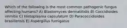 Which of the following is the most common pathogenic fungus affecting humans? A) Blastomyces dermatitidis B) Coccidioides immitis C) Histoplasma capsulatum D) Paracoccidioides brasiliensis E) Aspergillus fumigatus